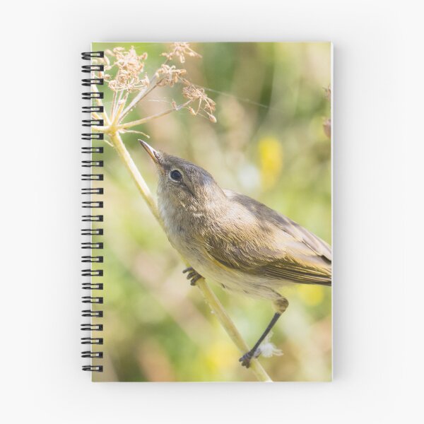 Item preview, Common Chiffchaff designed and sold by LaurenTucker.