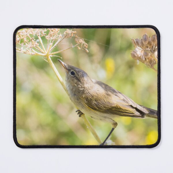 Item preview, Common Chiffchaff designed and sold by LaurenTucker.