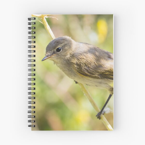 Item preview, Common Chiffchaff designed and sold by LaurenTucker.