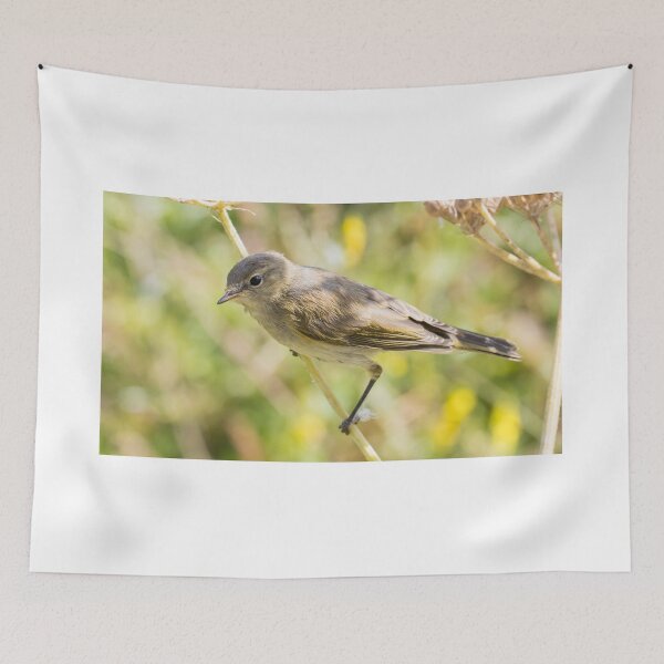 Item preview, Common Chiffchaff designed and sold by LaurenTucker.