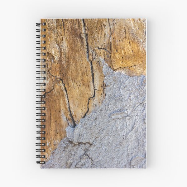 Item preview, Close-Up Tree Bark Texture With Cracked Weathered Wood Surface And Natural Detail designed and sold by Nmallia.