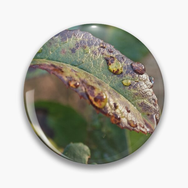 Item preview, Raindrops on a Leaf designed and sold by BornToBeWyld.