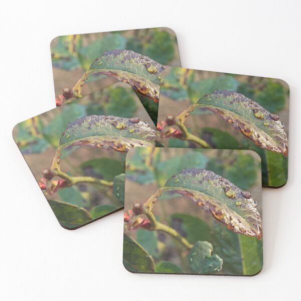 Item preview, Raindrops on a Leaf designed and sold by BornToBeWyld.