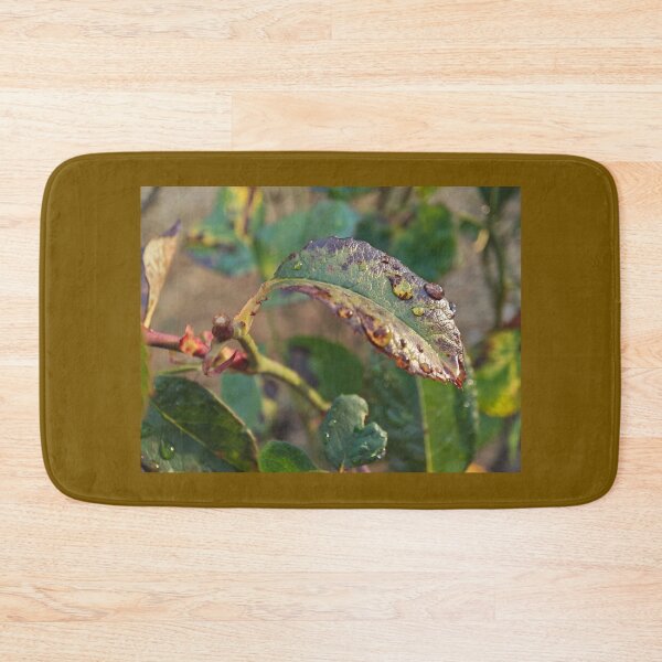 Item preview, Raindrops on a Leaf designed and sold by BornToBeWyld.