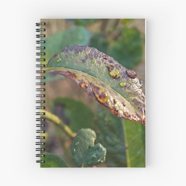 Item preview, Raindrops on a Leaf designed and sold by BornToBeWyld.