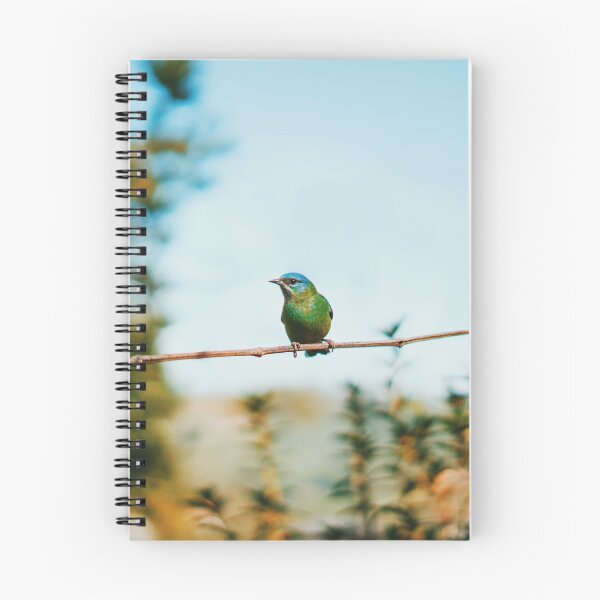 Item preview, Bird - Dacnis Cayana - Grainy Digital Photo designed and sold by anafrancisconi.