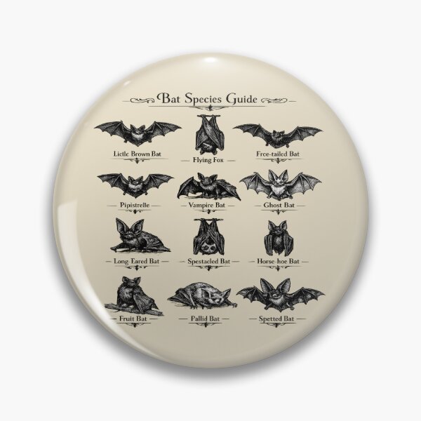 Item preview, Gothic Bat Species Guide for Bat Lovers designed and sold by POD DYNASTY | Original Print On Demand T-Shirt Graphics.