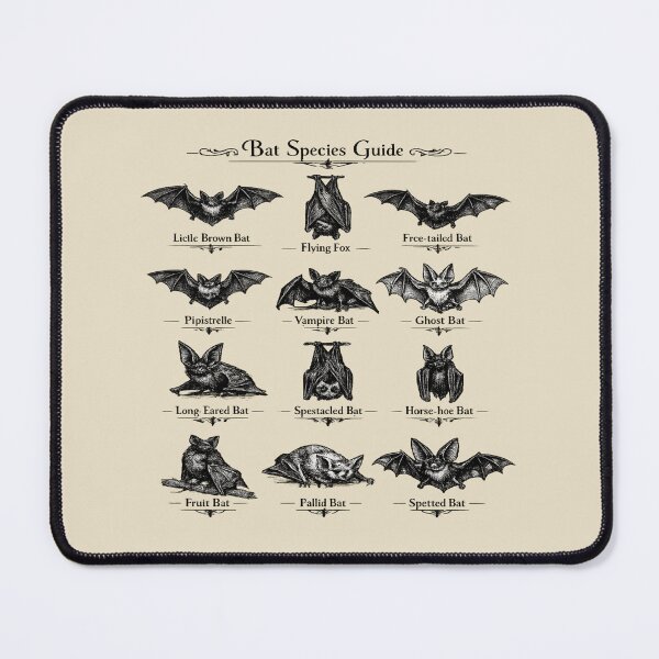 Item preview, Gothic Bat Species Guide for Bat Lovers designed and sold by POD DYNASTY | Original Print On Demand T-Shirt Graphics.