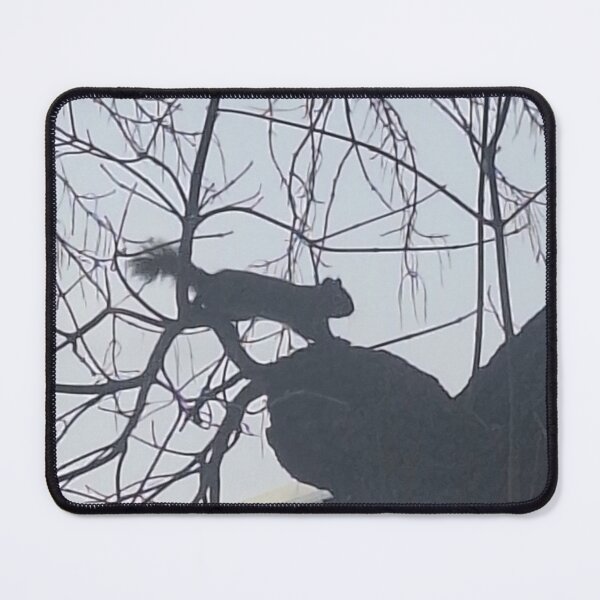 Item preview, Squirrel designed and sold by Canopy & Canvas.