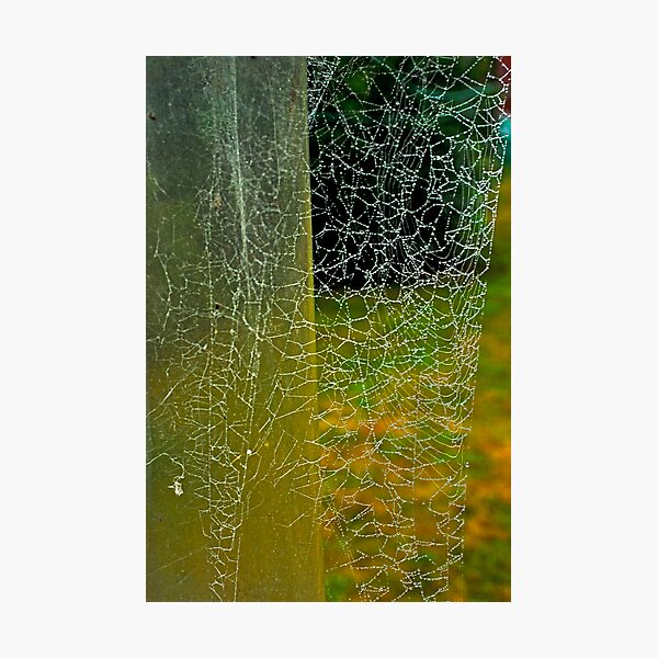 Item preview, Natural Lace Curtain designed and sold by Bryan Spellman.
