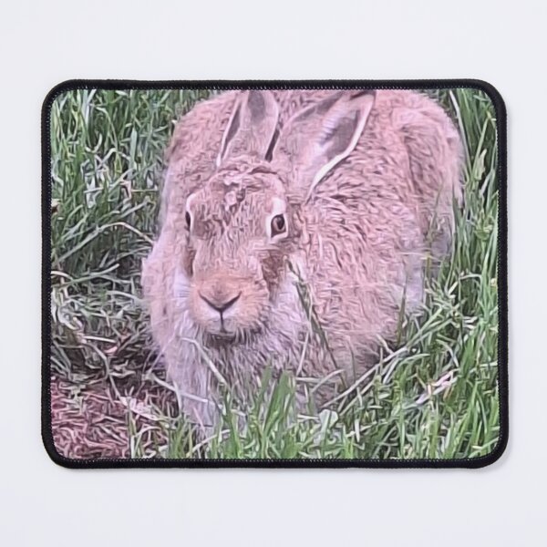 Item preview, Bunny designed and sold by Canopy & Canvas.
