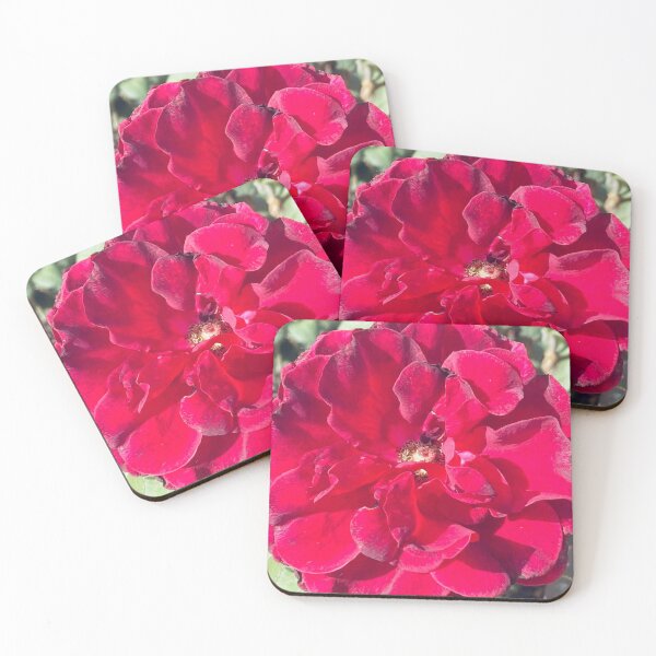 Item preview, Deep Velvet Crimson Red Rose Bloom Close Up designed and sold by BalkanBloom.