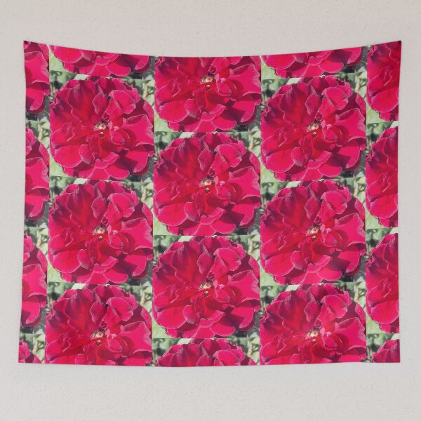Item preview, Deep Velvet Crimson Red Rose Bloom Close Up designed and sold by BalkanBloom.