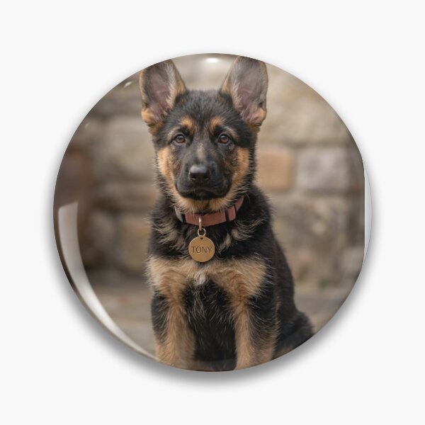 Item preview, The Noble K-9 warrior at his  cutest look  designed and sold by Yandi-Designs.