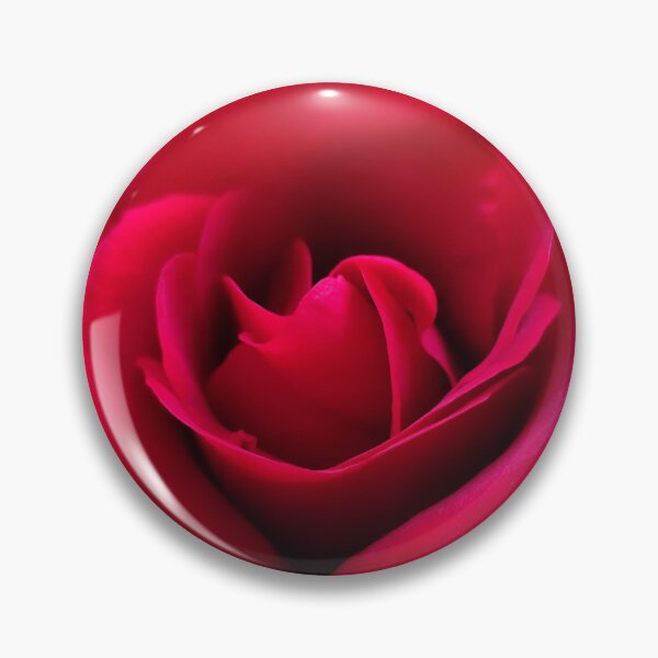Item preview,  Vivid Red Pink Rose Showing Her Beauty Outside designed and sold by vtspatial.