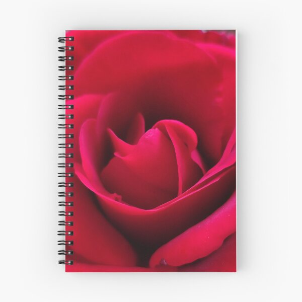 Item preview,  Vivid Red Pink Rose Showing Her Beauty Outside designed and sold by vtspatial.