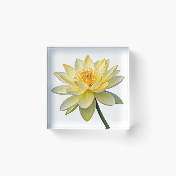 Item preview, Yellow Lotus Flower Isolated on Transparent Background | Sacred Water Lily Floral Clipart designed and sold by Harsha Pinjani.