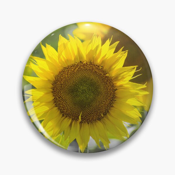 Item preview, Sunflower Field designed and sold by MoePhotography.
