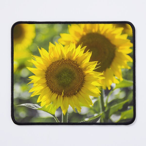Item preview, Sunflower Field designed and sold by MoePhotography.