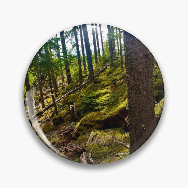 Item preview, Moss forest hike photo  designed and sold by Natalia-Designs.