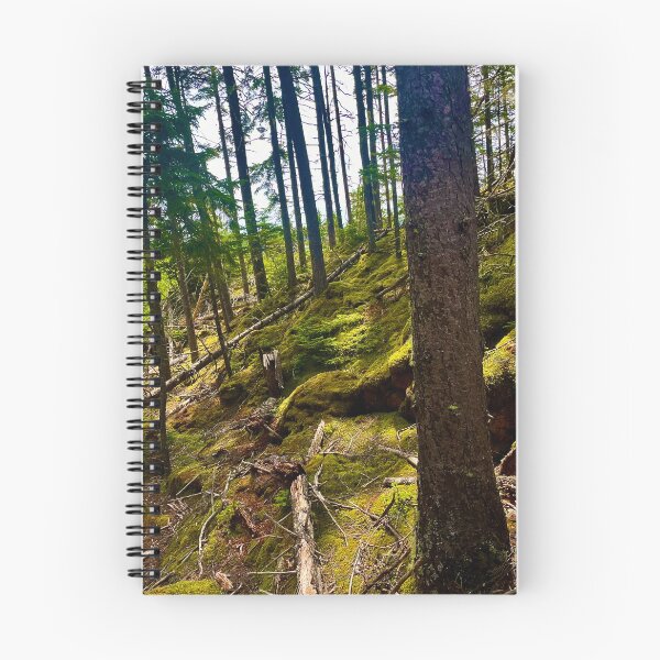 Item preview, Moss forest hike photo  designed and sold by Natalia-Designs.