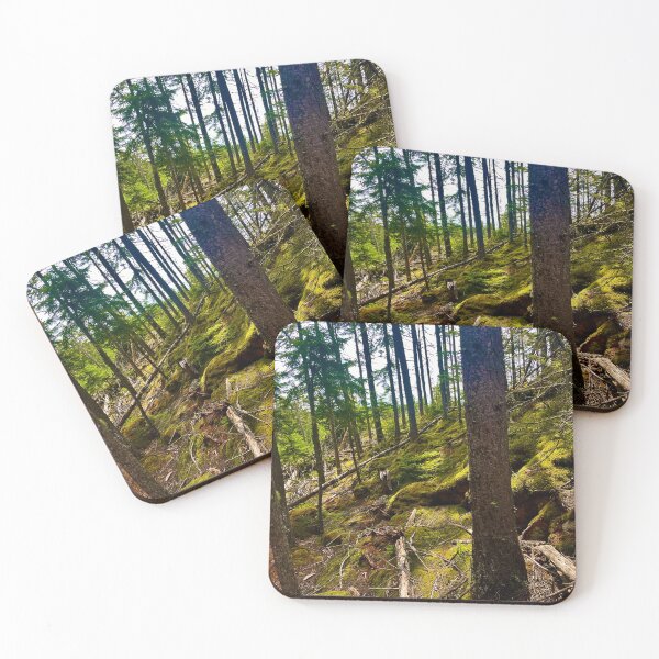 Item preview, Moss forest hike photo  designed and sold by Natalia-Designs.