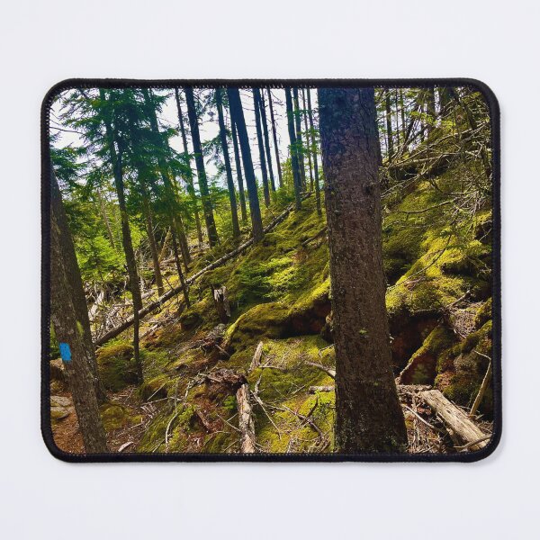 Item preview, Moss forest hike photo designed and sold by Natalia-Designs.
