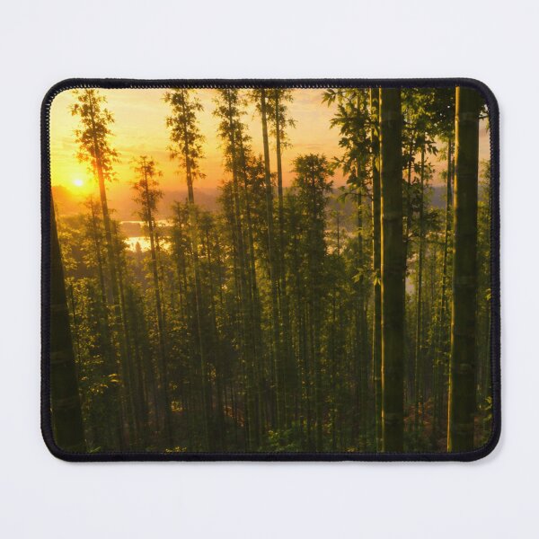 Item preview, Bamboo forest designed and sold by Courtney Croxall.