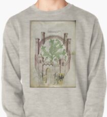 Untitled Pullover