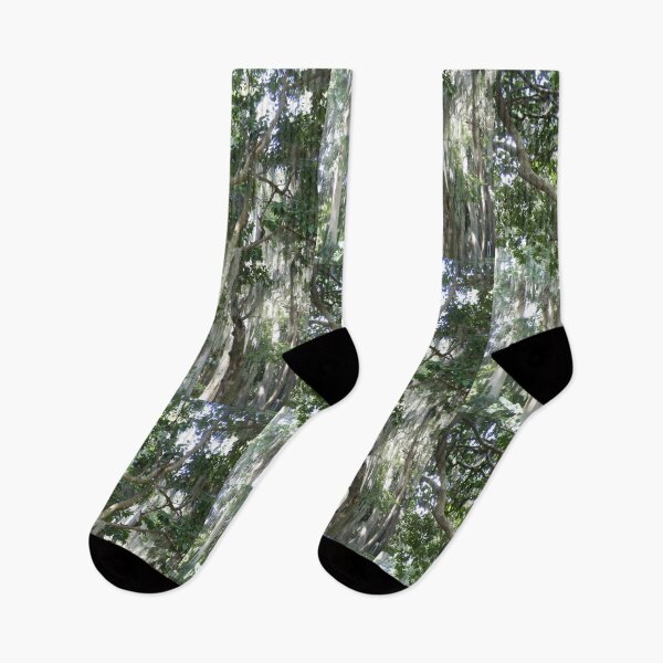 Item preview, Spanish Moss and Tree Canopy Forest Art Print designed and sold by KaleChub.