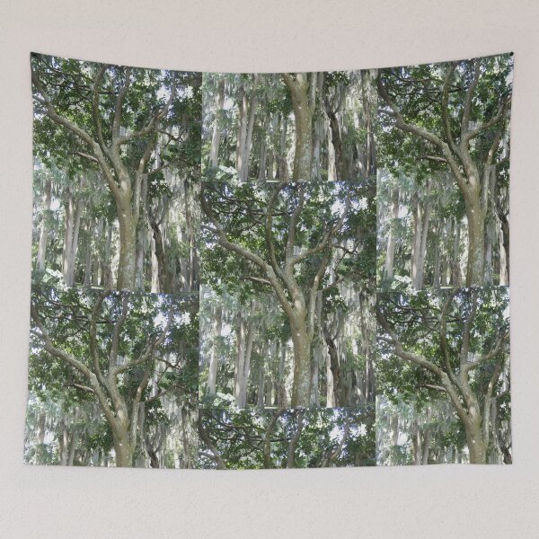 Item preview, Spanish Moss and Tree Canopy Forest Art Print designed and sold by KaleChub.