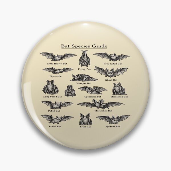 Item preview, Vintage Bat Guide for Bat Lovers designed and sold by POD DYNASTY | Original Print On Demand T-Shirt Graphics.