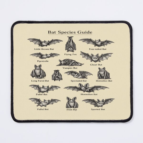 Item preview, Vintage Bat Guide for Bat Lovers designed and sold by POD DYNASTY | Original Print On Demand T-Shirt Graphics.