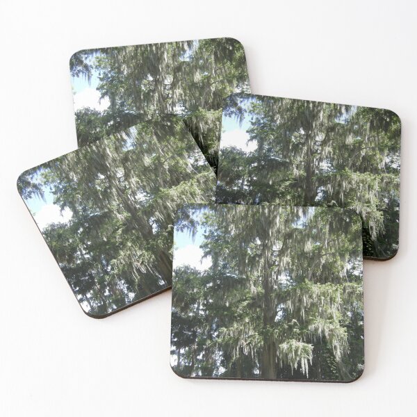Item preview, Spanish Moss Draped Trees Wetland Art Print designed and sold by KaleChub.