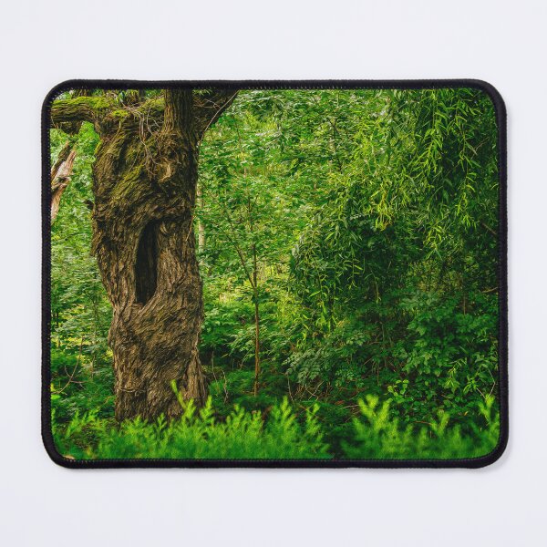 Item preview, Old Tree Oil Painting Forest designed and sold by Rabee Khalil Photography.