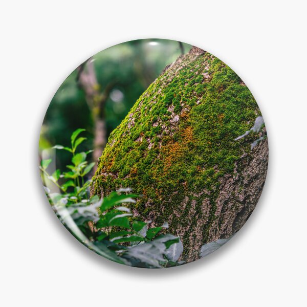 Item preview, Moss-Covered Tree Trunk designed and sold by Rabee Khalil Photography.