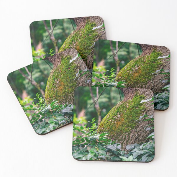 Item preview, Moss-Covered Tree Trunk designed and sold by Rabee Khalil Photography.