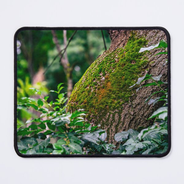 Item preview, Moss-Covered Tree Trunk designed and sold by Rabee Khalil Photography.
