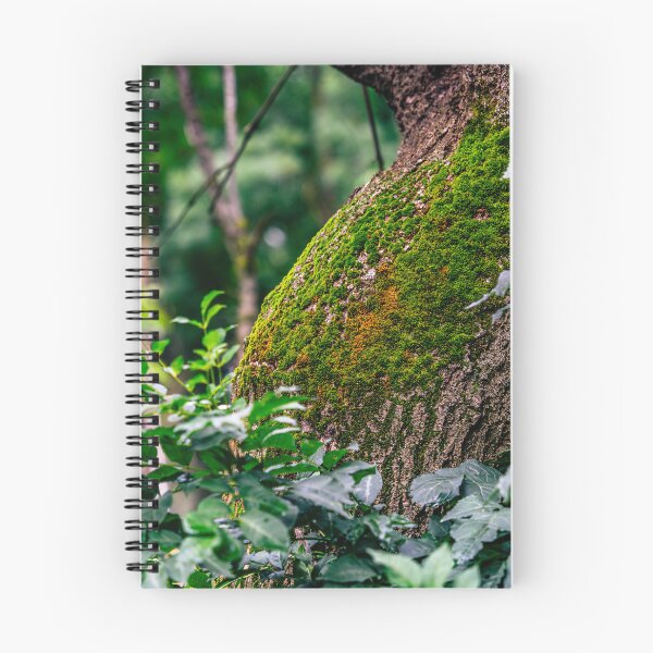 Item preview, Moss-Covered Tree Trunk designed and sold by Rabee Khalil Photography.