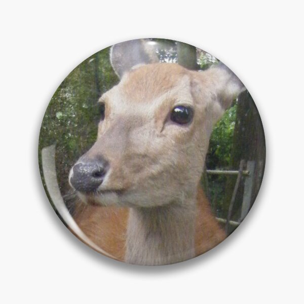Artikelvorschau, Nara-Hirsch in einem alten Schrein Kunstdruck entworfen und verkauft von KaleChub.
