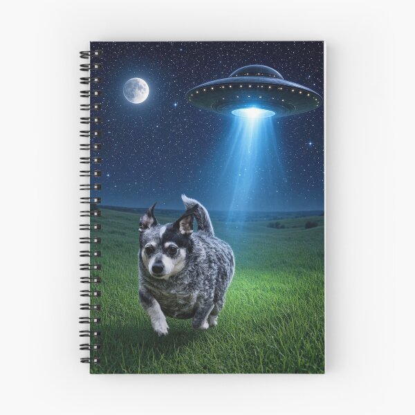 Item preview, Ori escapes a Flying Saucer designed and sold by kristana.