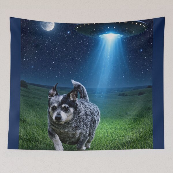 Item preview, Ori escapes a Flying Saucer designed and sold by kristana.
