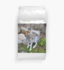 Funda nórdica Liebre de montaña