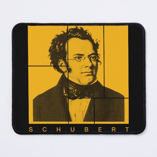 Item preview, Franz Schubert halftone mondrian style portrait designed and sold by CMYKStudio.