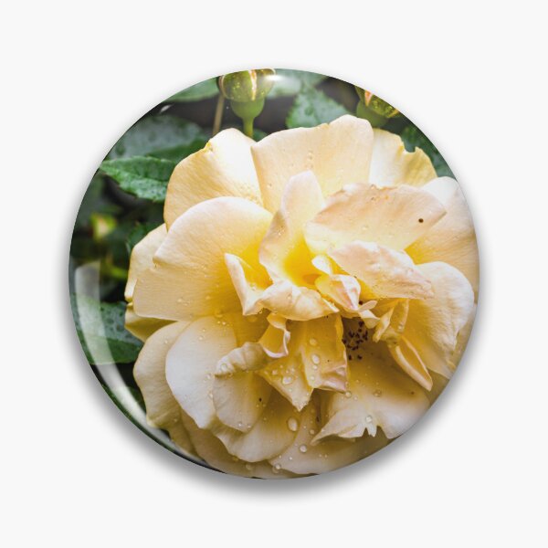 Item preview, Beautiful Garden Rose designed and sold by hermosaman.