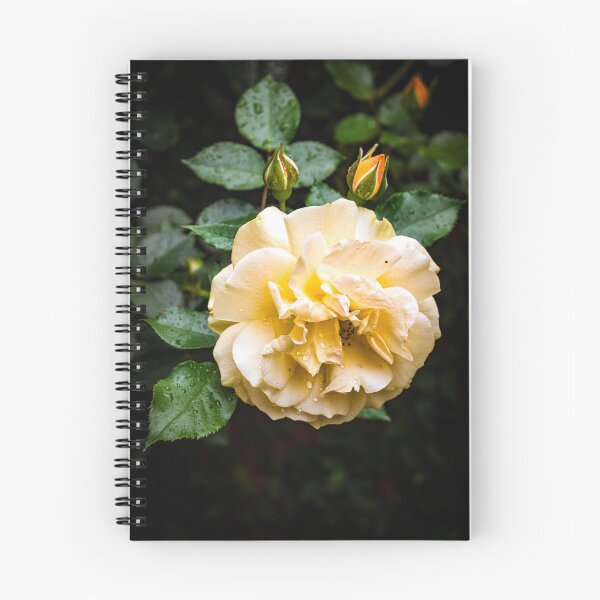 Item preview, Beautiful Garden Rose designed and sold by hermosaman.