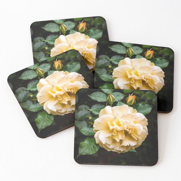 Item preview, Beautiful Garden Rose designed and sold by hermosaman.