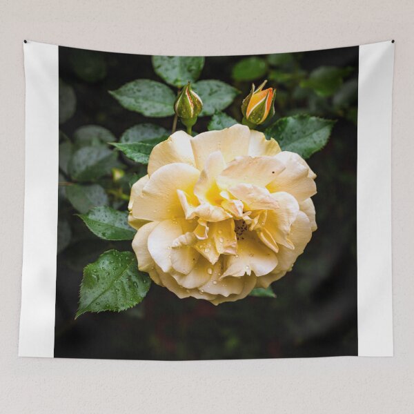 Item preview, Beautiful Garden Rose designed and sold by hermosaman.