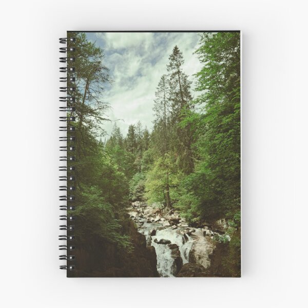 Item preview, the view from the hermitage bridge of dunkeld (scotland) (may 2026) designed and sold by photosbykel.
