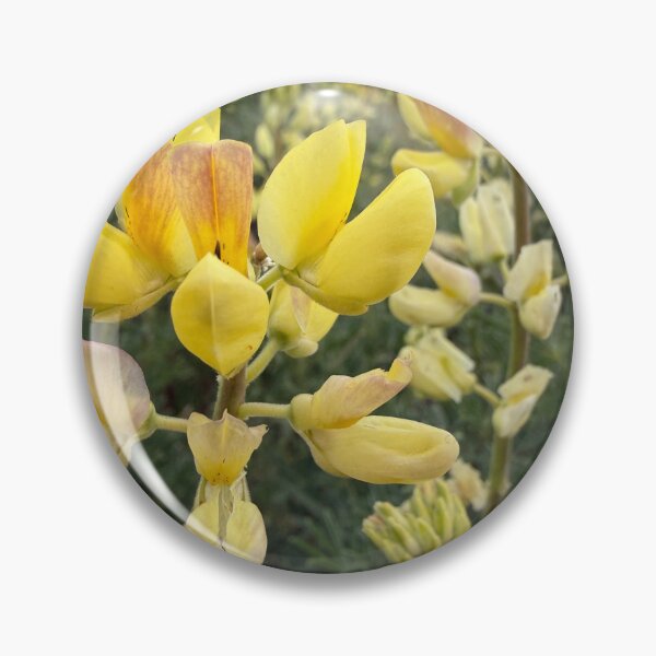 Item preview, Golden Lupin Joy designed and sold by Betsy Phillips.